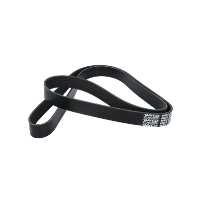 Correa Poly-V8Pk1765