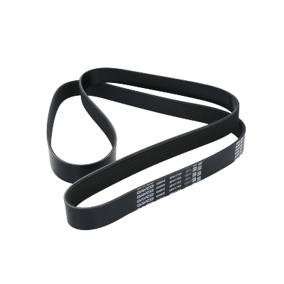 Correa Poly-V8Pk1755