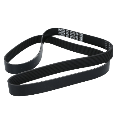 Correa Poly-V8Pk1725