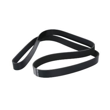 Correa Poly-V 8Pk1625