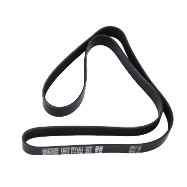 Correa Poly-V 8Pk1575