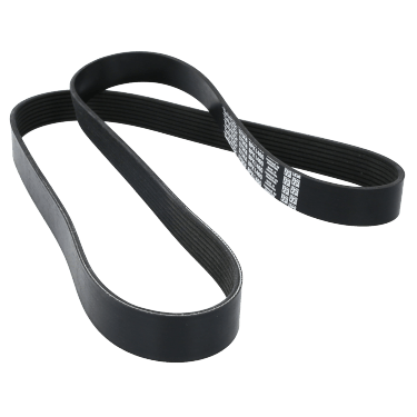 Correa Poly-V 8Pk1460