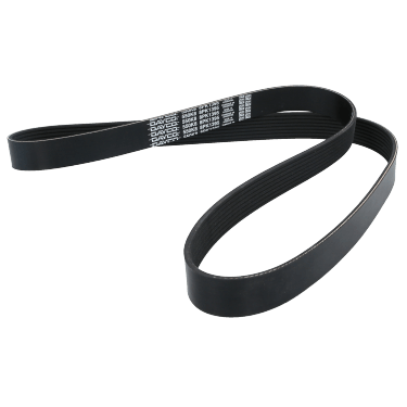 Correa Poly-V 8Pk1395