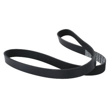 Correa Poly-V 8Pk1385