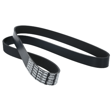 Correa Poly-V 8Pk1380