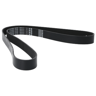 Correa Poly-V 8Pk1375