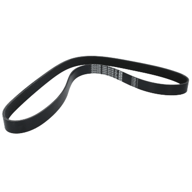 Correa Poly-V 8Pk1365