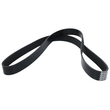 Correa Poly-V 8Pk1360