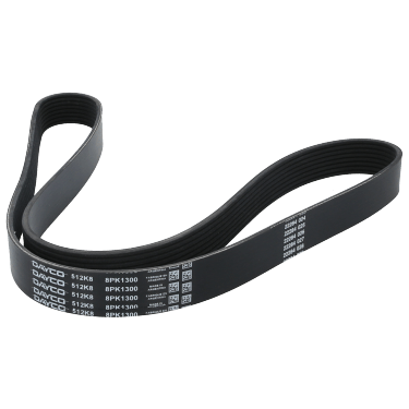 Correa Poly-V 8Pk1300