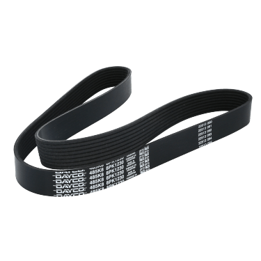 Correa Poly-V 8Pk1230