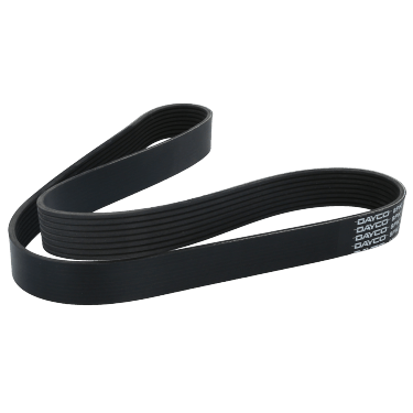 Correa Poly-V 8Pk1105