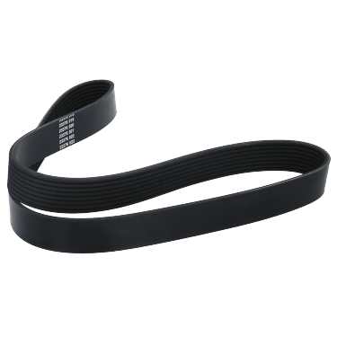 Correa Poly-V 8Pk1080