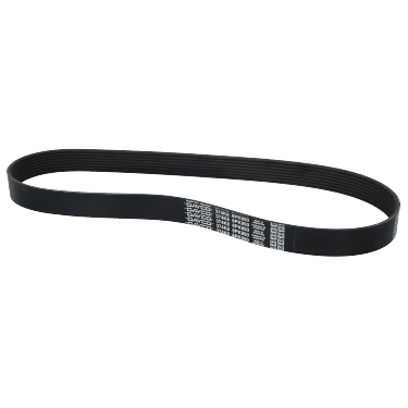 Correa Poly-V 8Pk0950