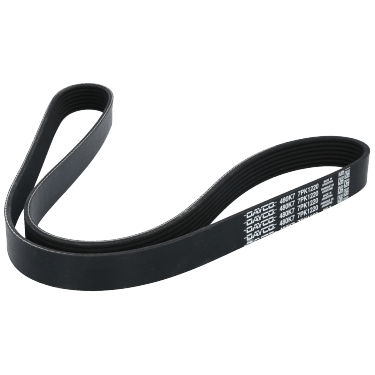 Correa Poly-V 7Pk1220