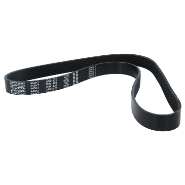 Correa Poly-V 7Pk1125