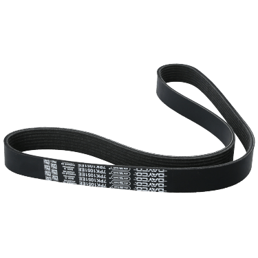 Correa Poly-V Renault Kangoo 1.6 16V H4M 15/19 Elastica