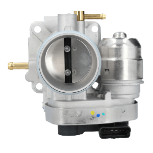 Cuerpo Mariposa Fiat Palio, Strada, Siena