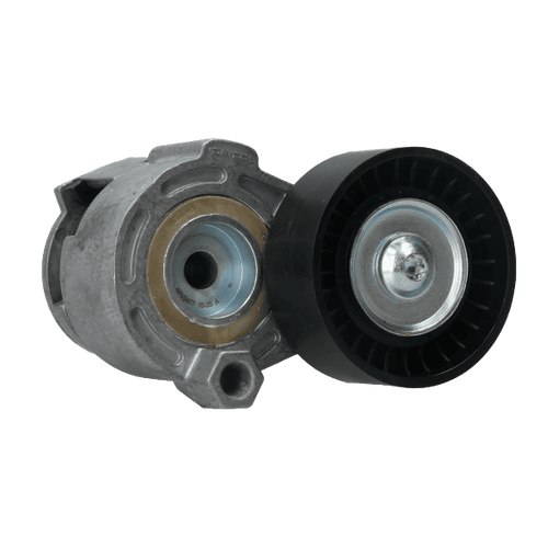 Tensor Poly-V Renault Clio, Duster, Fluence, Kangoo, Logan, Megane, Sandero, Symbol Dayco