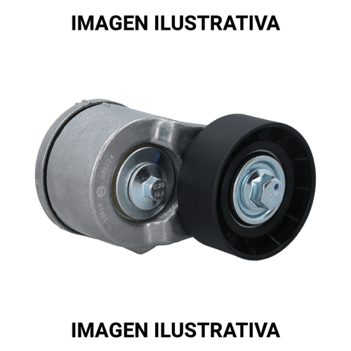 Tensor Poly-V Renault Clio, Duster, Fluence, Kangoo, Logan, Megane, Sandero, Symbol Zen 13536